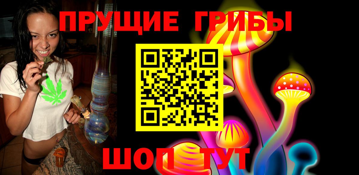 Псилоцибиновые грибы GOLDEN TEACHER Канаш